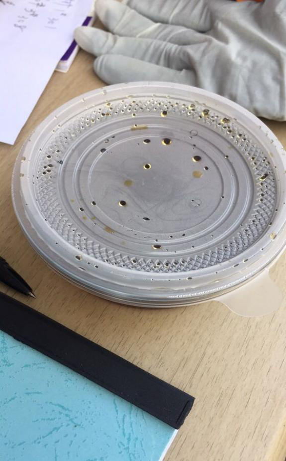 首页- 人生就是博中国官网入口