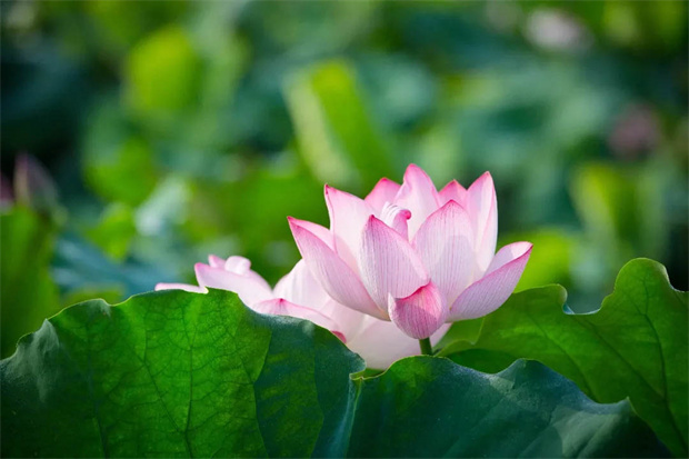 首页- 人生就是博中国官网入口