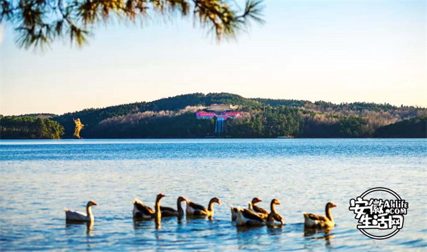 首页- 人生就是博中国官网入口