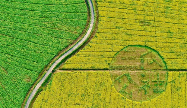 首页- 人生就是博中国官网入口