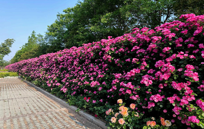 首页- 人生就是博中国官网入口