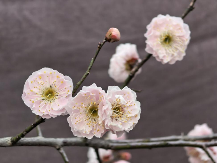 首页- 人生就是博中国官网入口